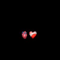rolitas_41