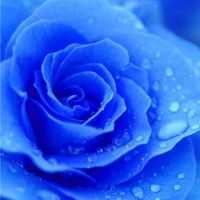オリジナル楽曲 - kumi♔.🌙