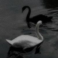 zxrza.ykx