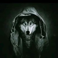 woww.tiktok.__v_u_l_e__