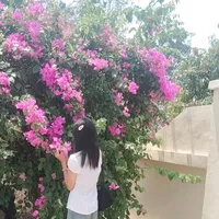 original sound - snow.white9318