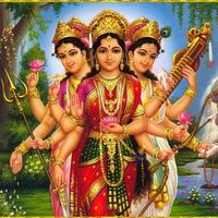 lalitshah7657
