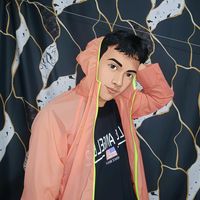 deeman00685637