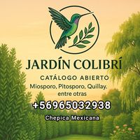 mirta_jardincolibri