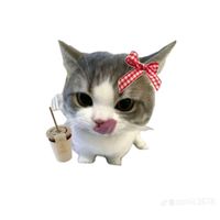 chatlada.kim