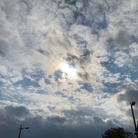 オリジナル楽曲 - キャベツ🥗🎨