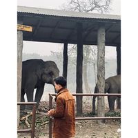 prashantairi8