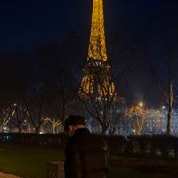 NIK LES ARBRES DE FRANCE