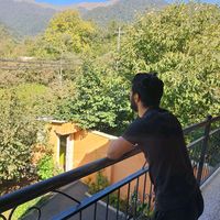 zeynalov_444_