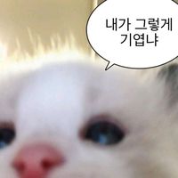 skejc_1234