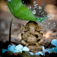 ranjeeta.kunwar