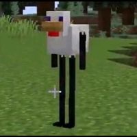 jd_mc28