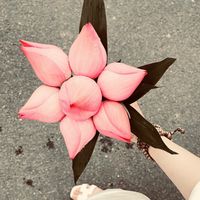 nhạc nền - 🅳🅰🅳_ Story🍁