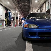 tom_eg6