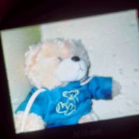 dudms7