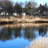 original sound - m.s.k.81