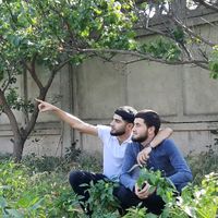 qedim777
