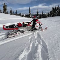 life_wideopen1