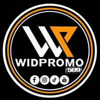 widpromo509