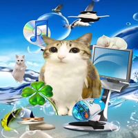 suara asli - MeowlInfo