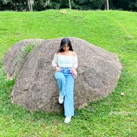 nellycossio801