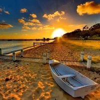 الصوت الأصلي