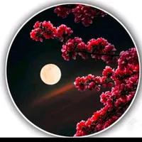 original sound - yeasmin0012