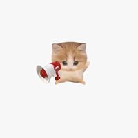 webi_wabo711