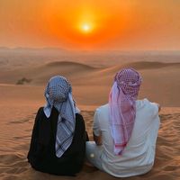 الصوت الأصلي