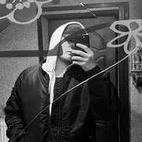 pasha_passat