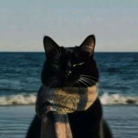 original sound - Tritan