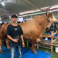 suara asli - Mustofa Fitra R340