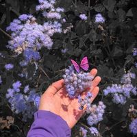 off.account90