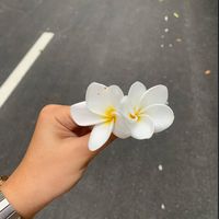 zara_07s
