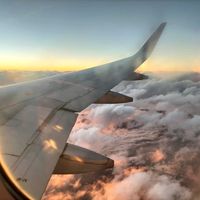 原声 - 山东人闯荡新加坡