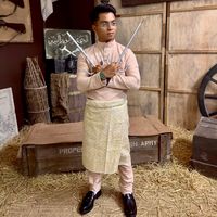 Kerajaan paip senapang