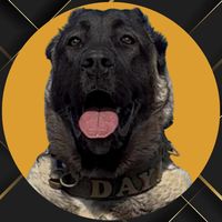 yozgatkangal