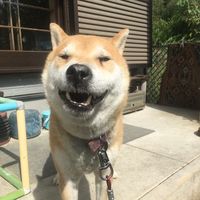 ishiki_000