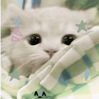 nhạc nền - Mèo Xù_小毛猫_(xiǎo máo mão)