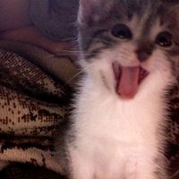 оригинальный звук