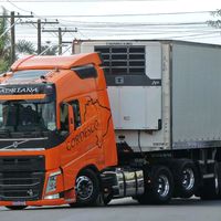 mariojorge146