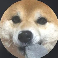 オリジナル楽曲 - 柴犬いっちゃん