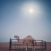 al_bl23