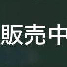 宝愛瑠