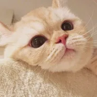 original sound - wutt_t3