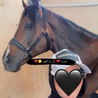noha.mohammed92