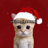 vstan vozmi