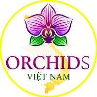nhạc nền - hoàngnhạnt8