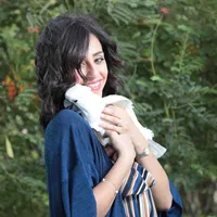 original sound - cloud9pethotel