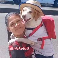 nicketuti